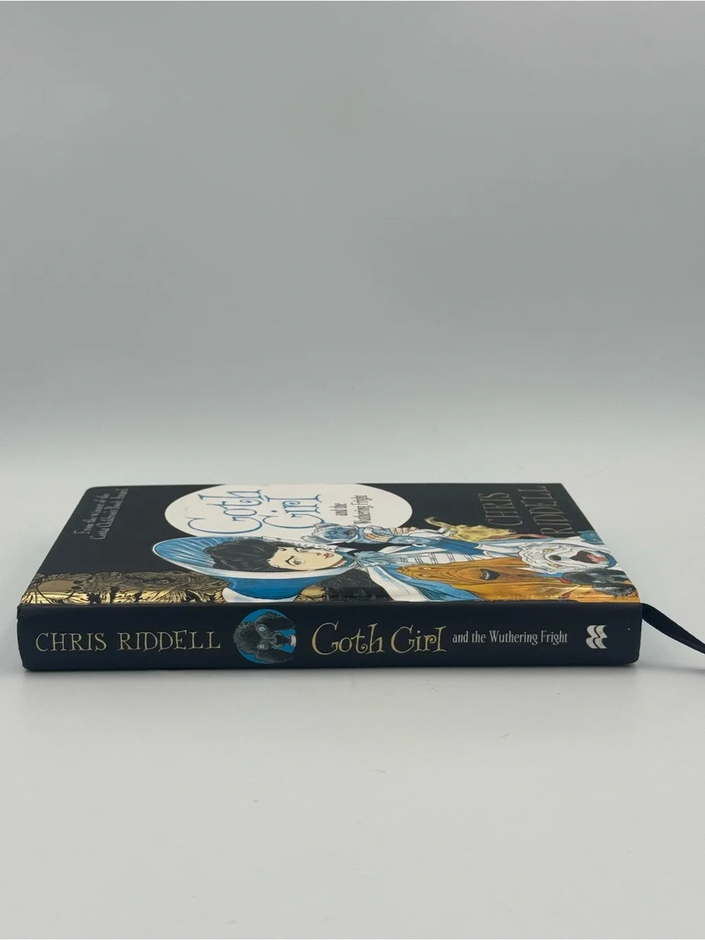 Goth Girl and‎ the Wuthering Fright Chris Riddell HC 2015 Mini Book Complete